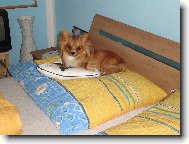 to si to krásně hajinkám...