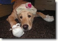 Tak mě panička vystrojila ...