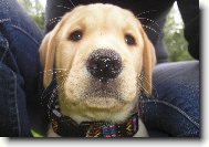 Brituška jako miminko :)