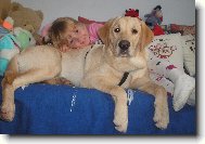 Darinka a Brituška :