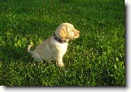 To jsem byla ještě maličká