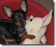 Korinova veľká láska