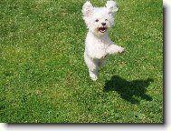 Létající Anne :-)