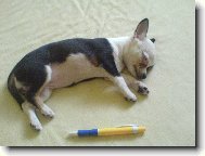 Jsem větší než tužka...