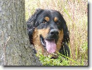 Odpočinek v trávě