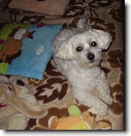 Náš miláček Samuel