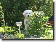 Tady mě snad nenajdou...