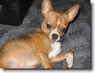 Tak tohle je náš Rokiček