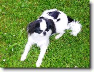 ČIKO - to jsme už vyrostli