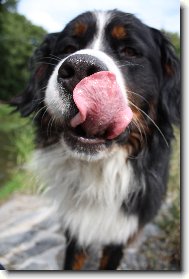 můj malinkej Mazlik