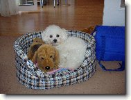 Arlenka - 10 měsíců