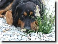 Co po mně ještě chcete..?