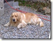 náš miláčěk rodiny