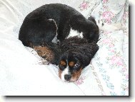 Moje oblíbené místo