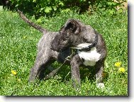 Môj malinký "anjelíček"