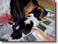 u maminky je nejlépe