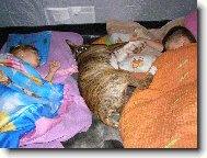 TO SE NÁM TO HEZKY SPINKÁ