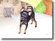 Kuk na Sárinku:) 3-měs.