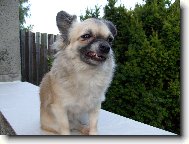 Špatná nálada . . .