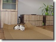 Hledám kamarády/ky