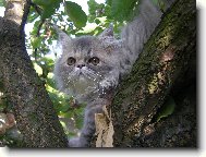 Maggie si užívá krásy přírody