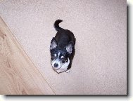 Anynka sestra Maxíčka