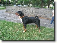 ICH Arcos z Tichého údolí