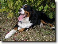 podzimní pohodička