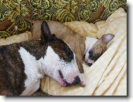 takhle spolu spinkáme