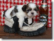 Bertík má žízeň