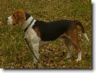 Billiček Olomouc 1rok