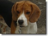 Billiček Olomouc 1rok