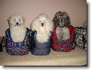 Tři králové- Sissi, Sunny, Matýsek