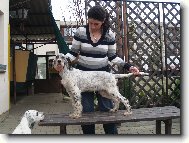 ENDY OD ALPSKÉ  PROTĚŽE