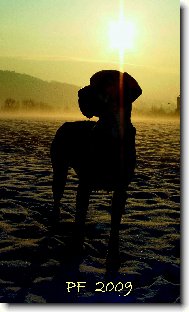 krásné vánoce všem