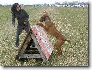 C´Chulo Magdahor , neboli Čulda, Čulínek