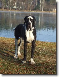 Etoscha od Hanínského lomu