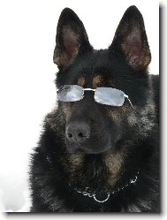 Slnečné lúče sú nebezpečné!