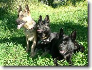 Rodina-mama a jej dve dcéry