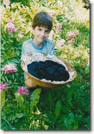 Štěňata velkého černého špice C.. Black Re-Jan Moravia