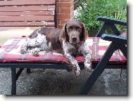 zasloužený odpočinek