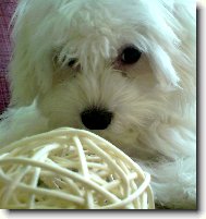 Naše Jessynečka :)