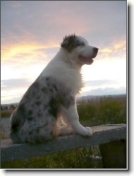 už sluníčko zachází