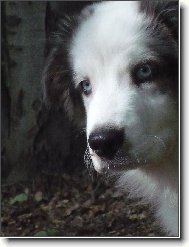 soustředím se...nerušit