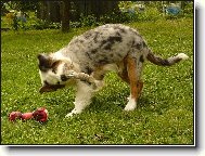 já ti dám neřáde