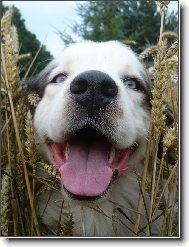 ááá...našel jsem tě