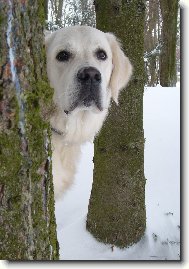 Domingo de Bismilláhi