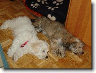 Po 3 hodinách řádění se sestrou