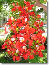 Moc pěkná ale mně neznámá