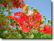 Moc pěkná ale mně neznámá